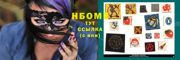 хмурый Абаза