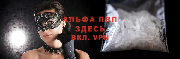 хмурый Абаза