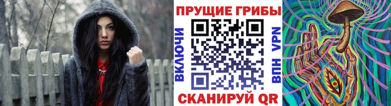 Галлюциногенные грибы мухоморы Сураж